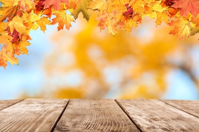 Image of Empty wooden surface and beautiful autumn leaves on blurred background 