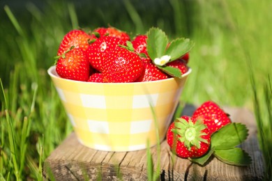 Photo of Bowl and ripe strawberries on log outdoors, closeup