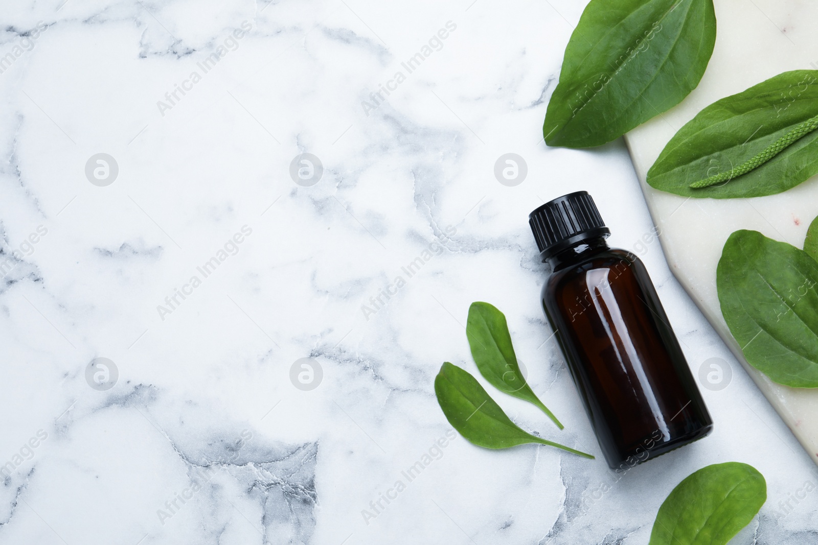 Photo of Bottle of broadleaf plantain extract and leaves on white marble table, flat lay. Space for text