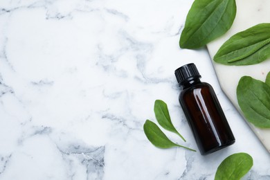 Bottle of broadleaf plantain extract and leaves on white marble table, flat lay. Space for text