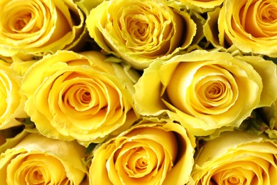 Beautiful bouquet of yellow roses as background, top view