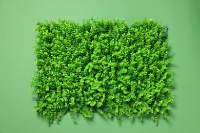 Photo of Green artificial plants on color background, top view