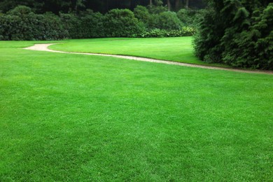 Beautiful freshly cut green lawn in park