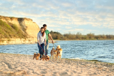 Photo of Young couple walking their adorable dogs near river