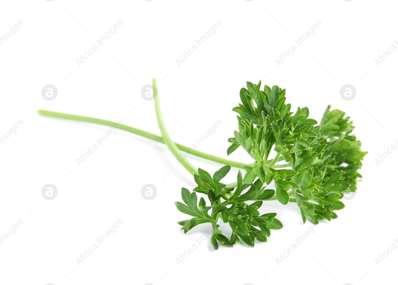 Photo of Fresh green organic parsley on white background