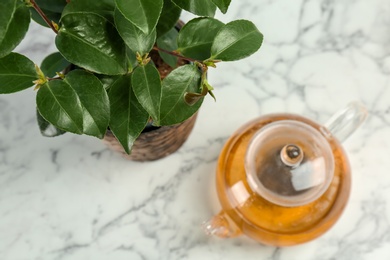 Tea shrub near glass pot of hot beverage on table, top view