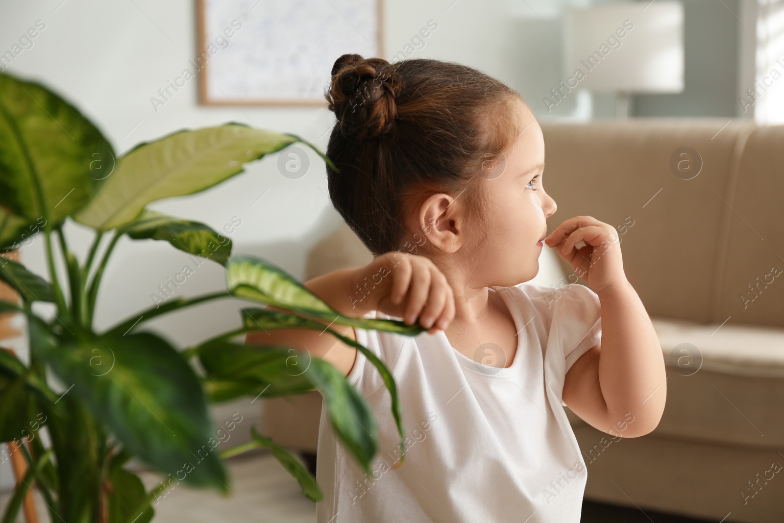 Photo of Little girl playing with houseplant at home