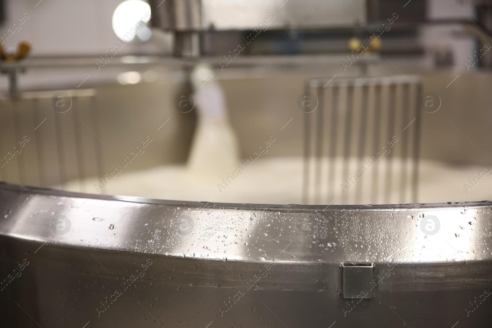 Photo of Pouring milk into curd preparation tank at cheese factory, closeup
