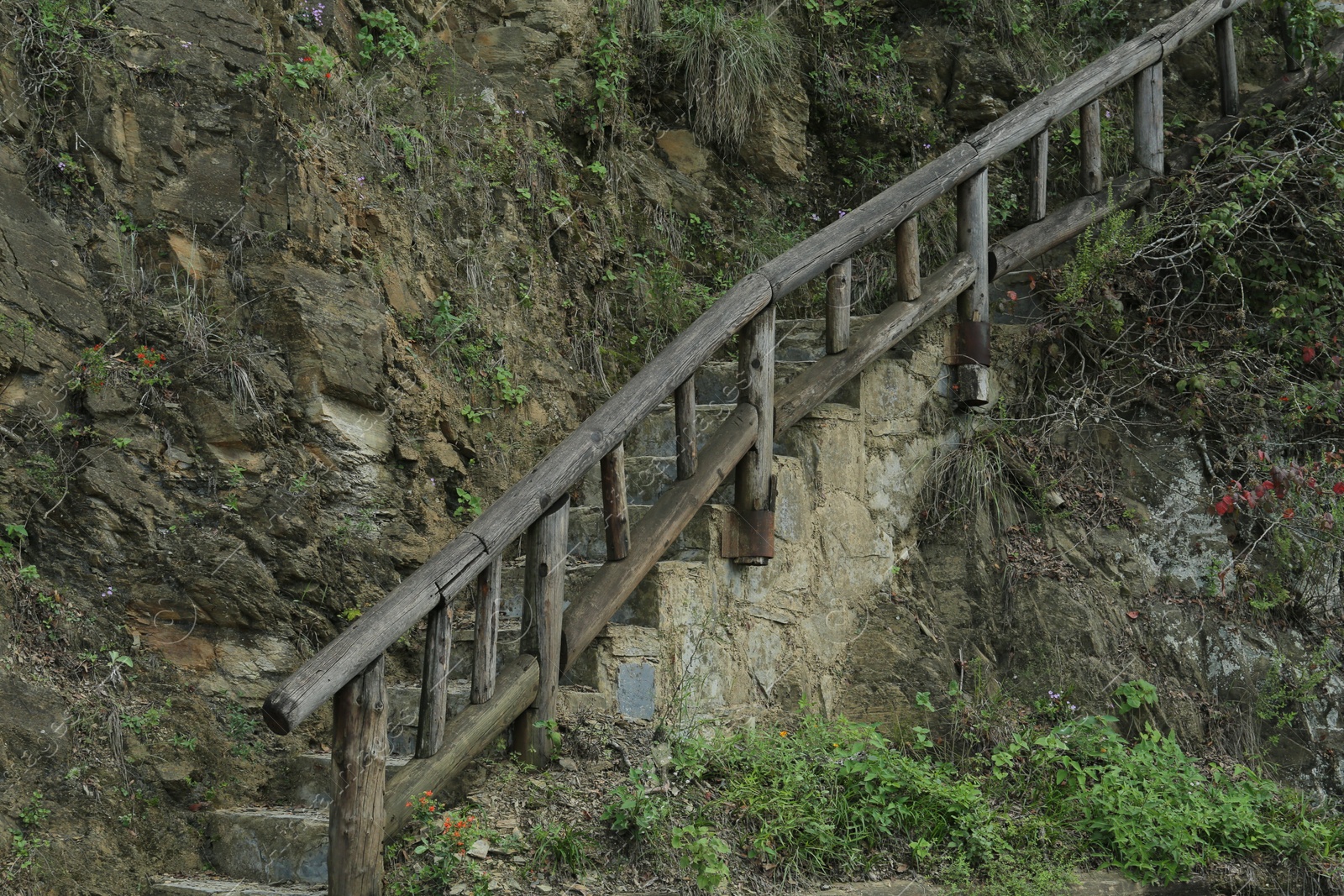 Photo of Wooden hand railings near stone stairs and plants outdoors