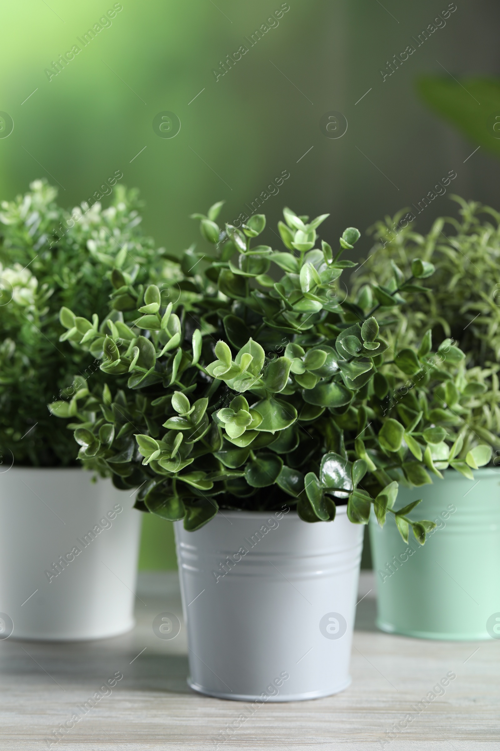 Photo of Different aromatic potted herbs on white wooden table