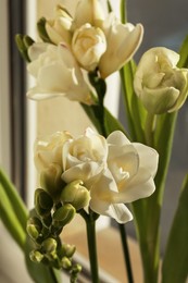 Spring is coming. White beautiful flowers, closeup