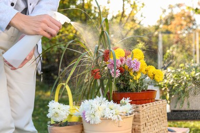 Photo of Woman spraying many different potted flowers with water in garden, closeup