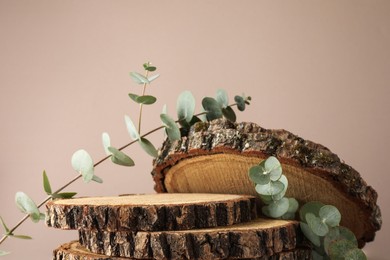 Photo of Presentation for product. Wooden stumps and eucalyptus branches on beige background