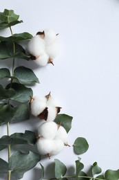 Fluffy cotton flowers and eucalyptus leaves on white background, flat lay. Space for text