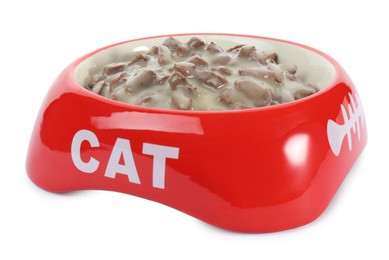 Wet pet food in feeding bowl isolated on white