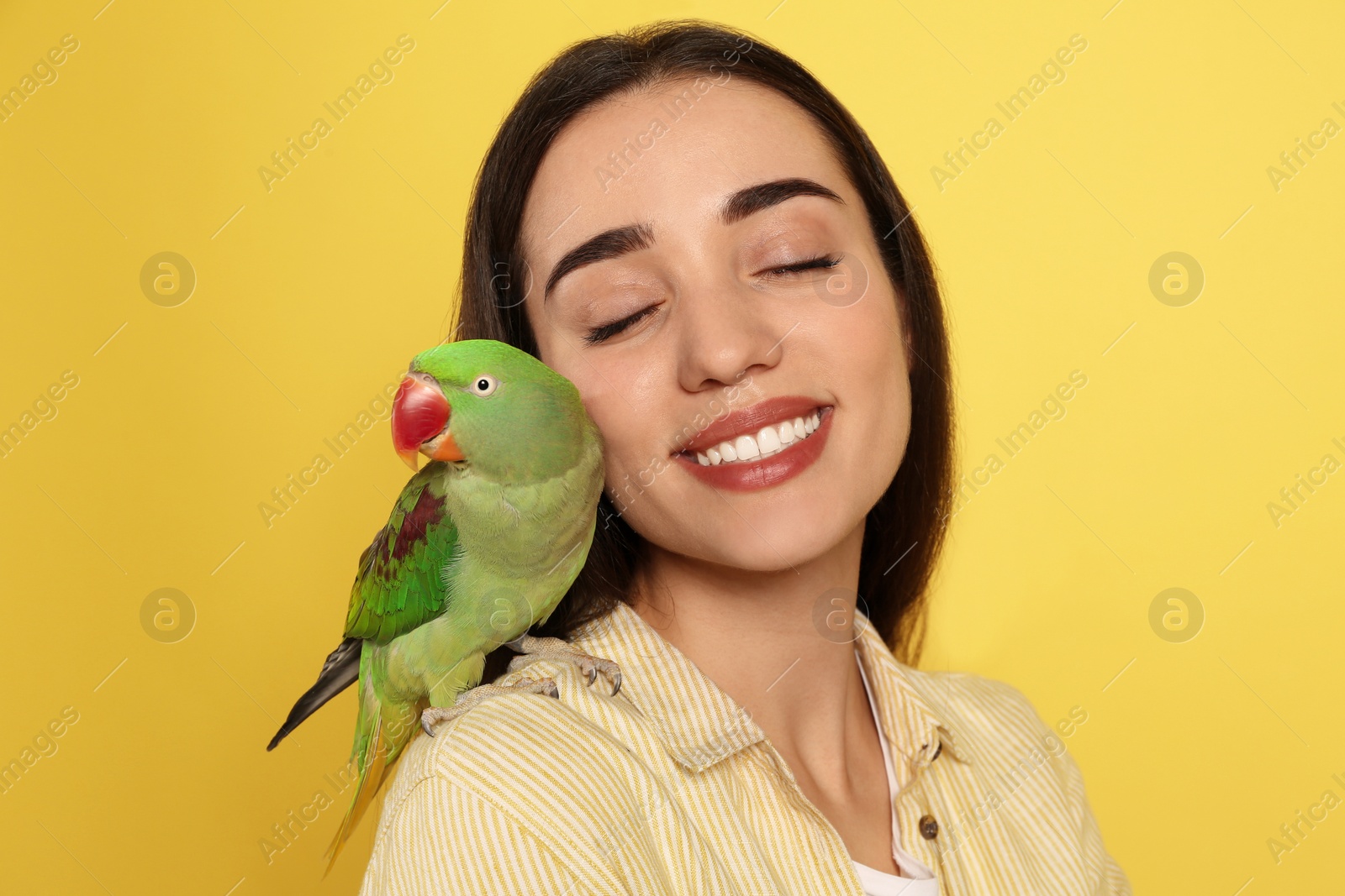 Photo of Young woman with Alexandrine parakeet on yellow background. Cute pet