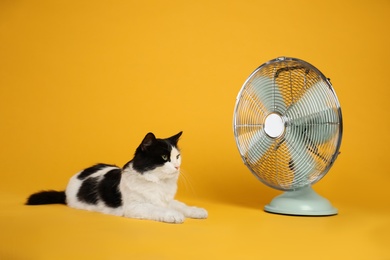 Cute fluffy cat enjoying air flow from fan on yellow background. Summer heat