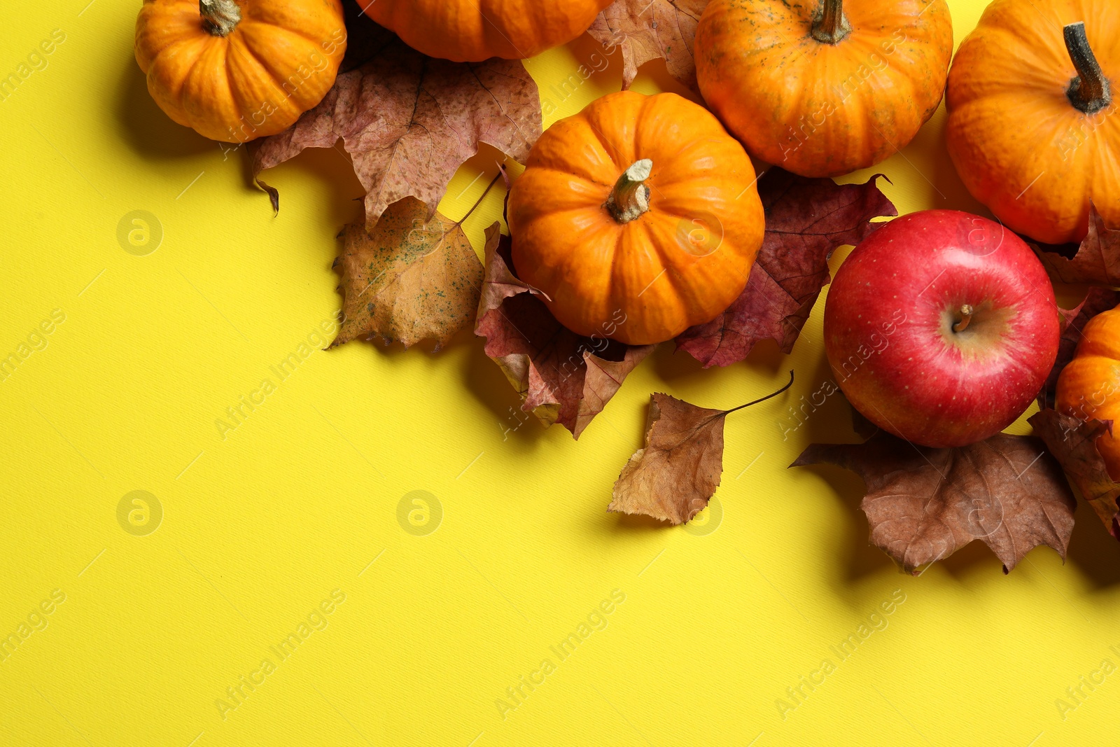 Photo of Thanksgiving day. Flat lay composition with pumpkins on yellow background, space for text