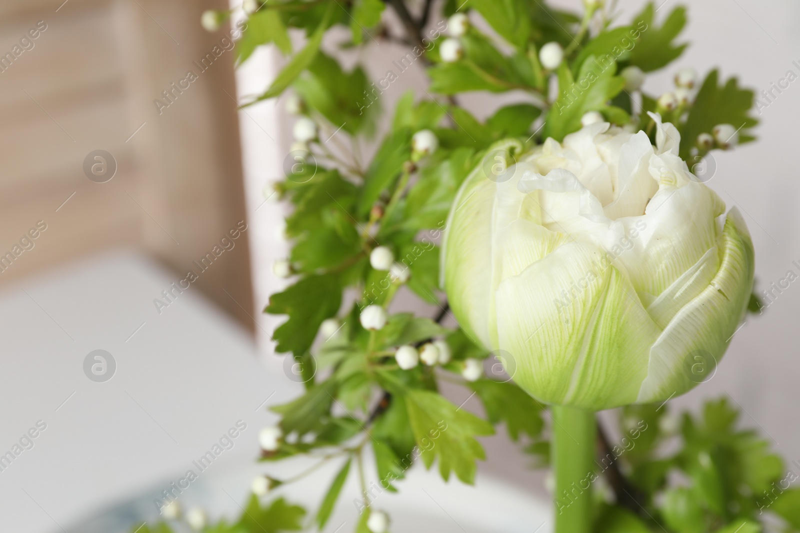 Photo of Beautiful ikebana for stylish house decor. Floral composition with fresh tulip flower and blooming branches on blurred background, closeup. Space for text