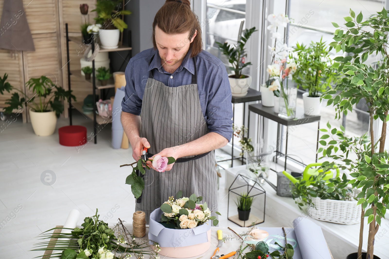 Photo of Male florist pruning rose at workplace