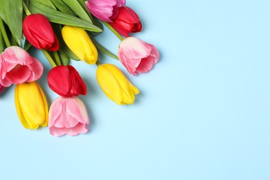 Beautiful colorful tulips on light blue background, space for text