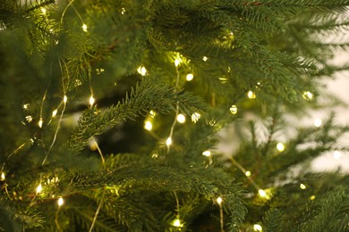 Photo of Beautiful Christmas tree with glowing fairy lights, closeup