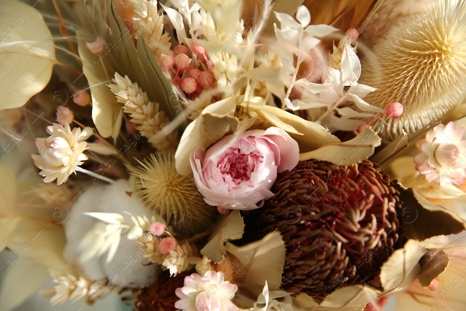 Photo of Beautiful elegant dried flower bouquet, closeup view