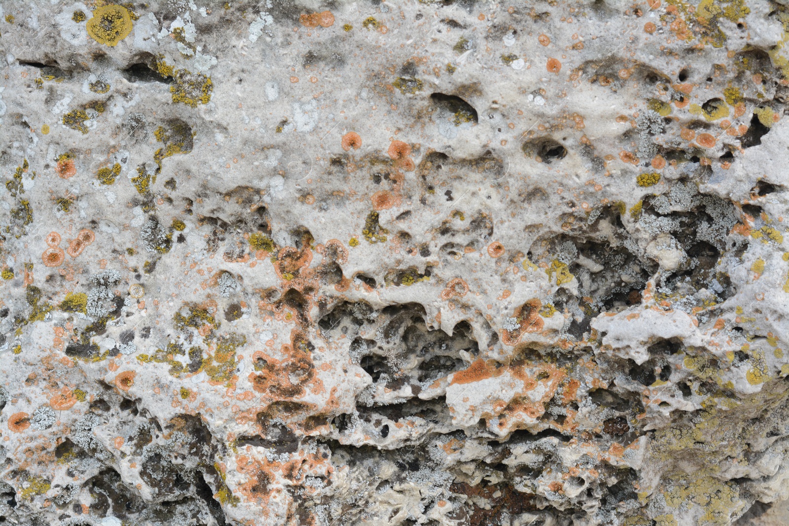 Photo of Closeup view of stone covered with lichen as background