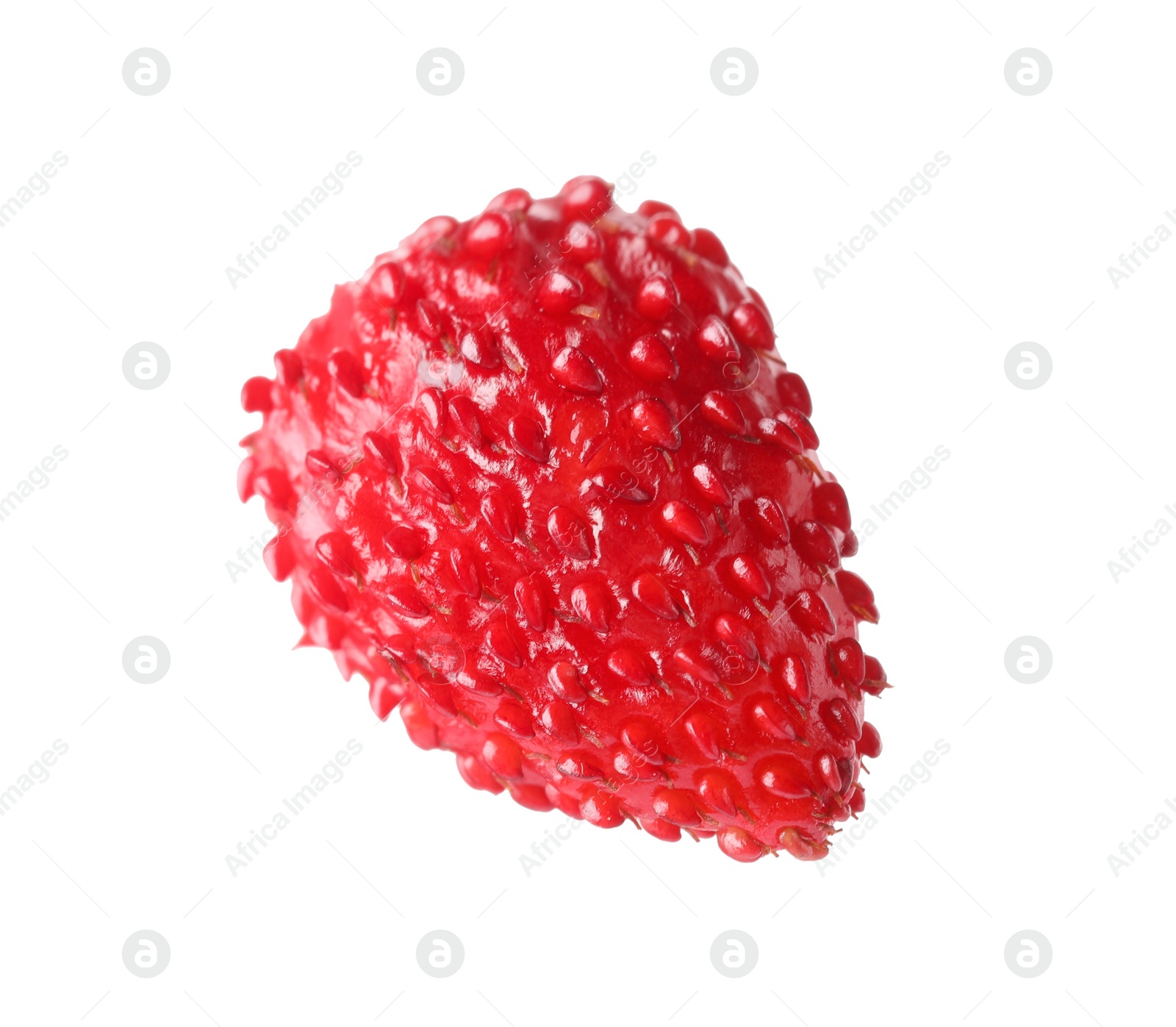 Photo of One ripe wild strawberry isolated on white