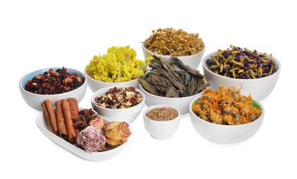 Photo of Many different dry herbs, flowers and spices in bowls isolated on white