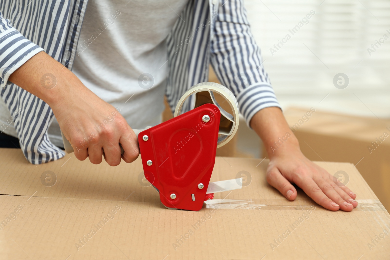 Photo of Woman packing cardboard box indoors, closeup. Moving day