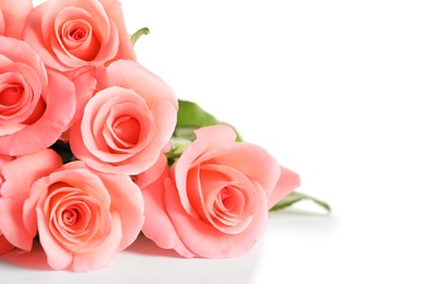 Bouquet of beautiful roses on white background