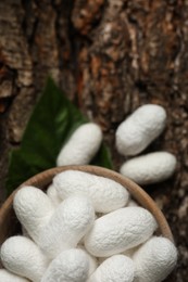 Photo of White silk cocoons with wooden bowl and mulberry leaf on tree bark, top view