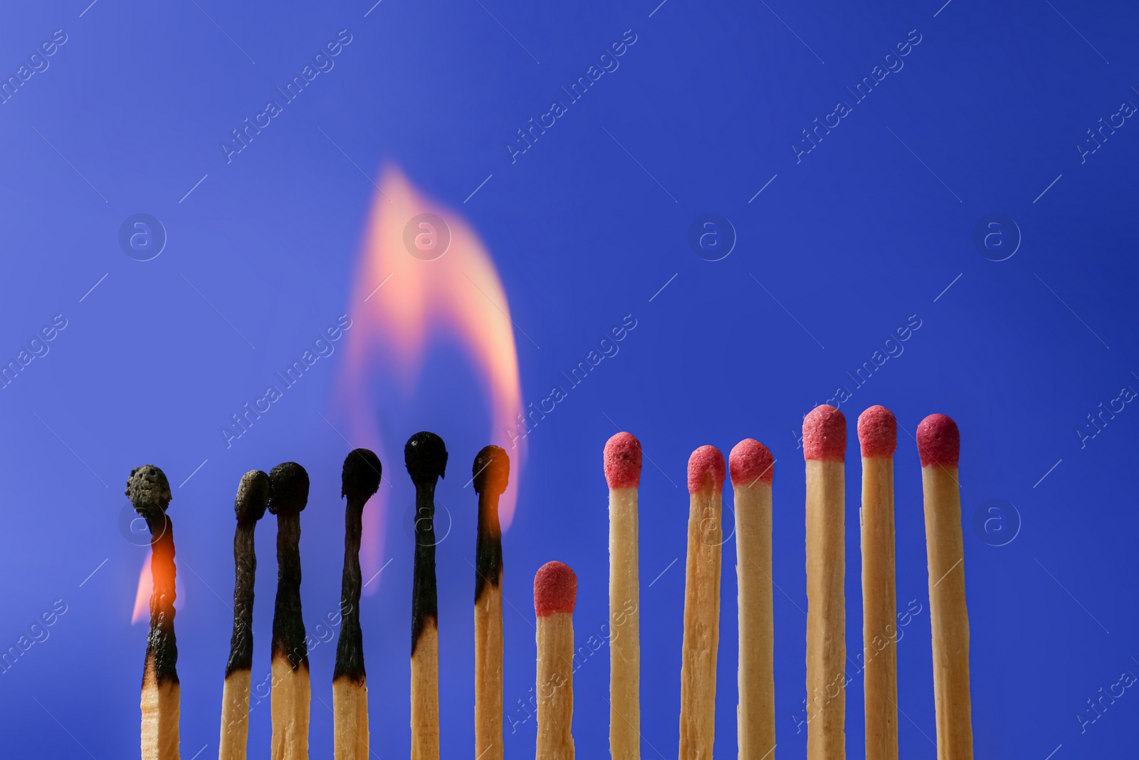 Photo of Burning and whole matches on blue background. Stop destruction concept