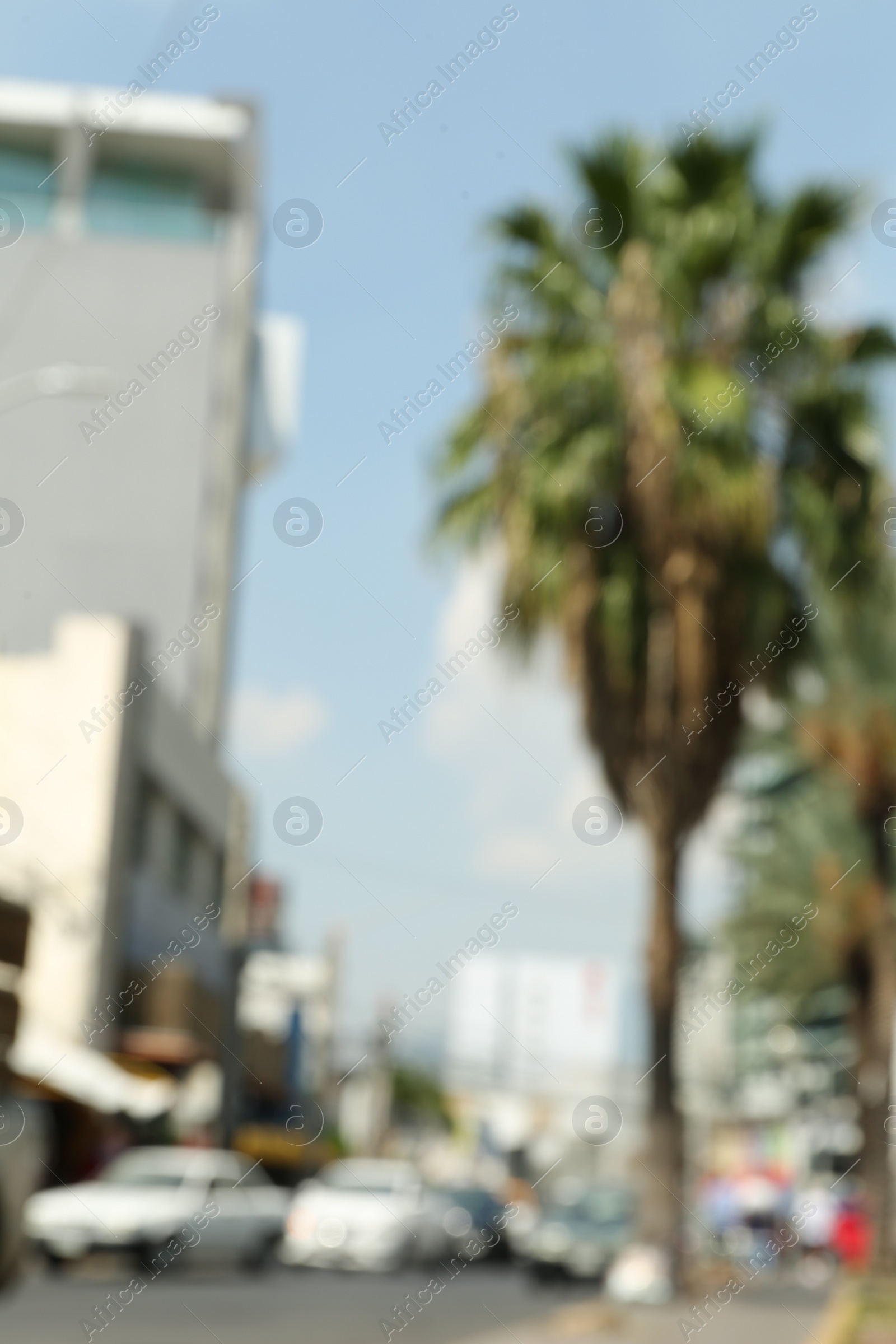 Photo of Blurred view of city street with modern buildings and palm trees