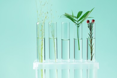 Photo of Different plants in test tubes on light turquoise background, closeup