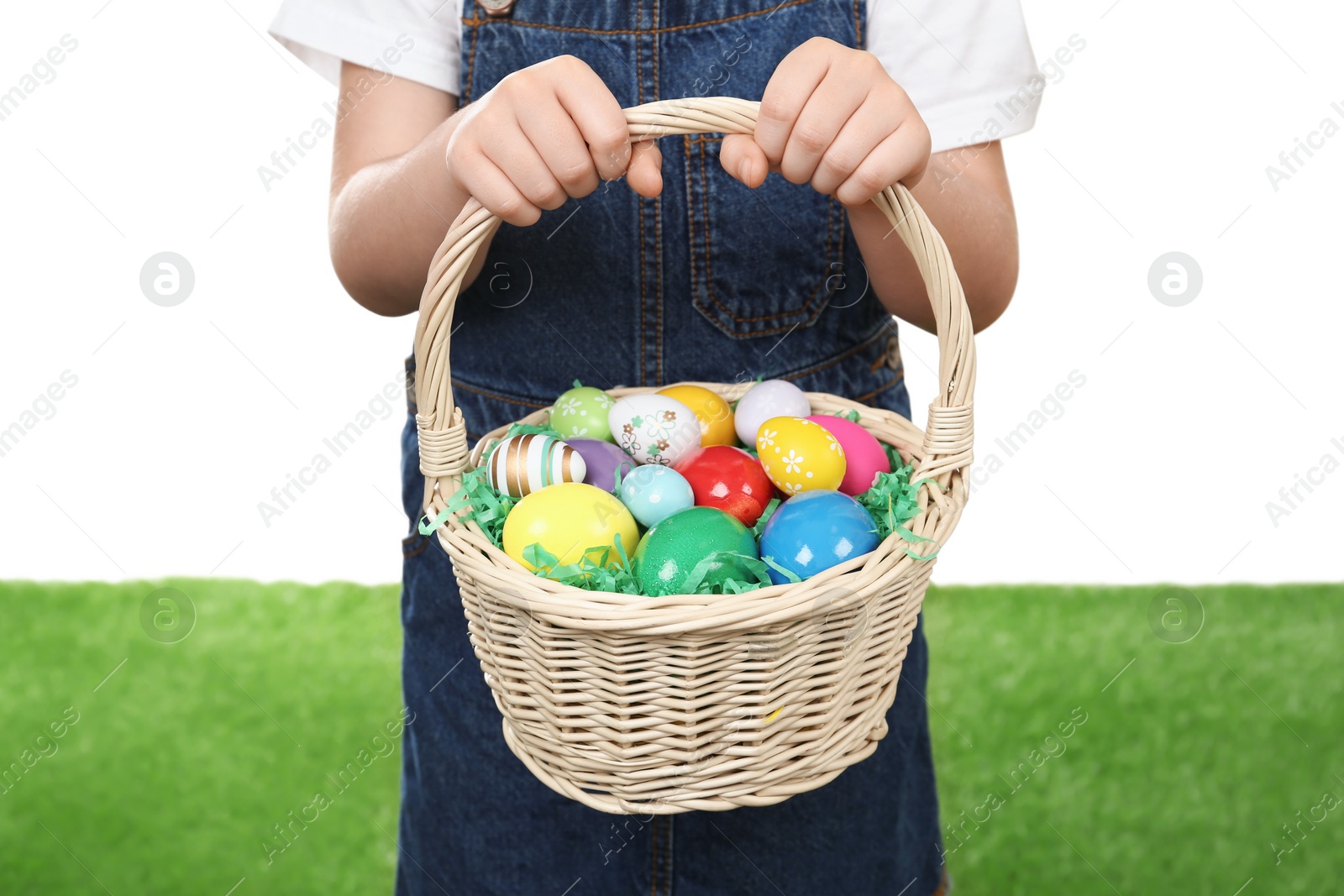 Photo of Little girl with basket full of Easter eggs on green grass against white background, closeup