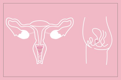Illustration of Instruction how to use menstrual cup during period. Female reproductive system on pink background, illustration