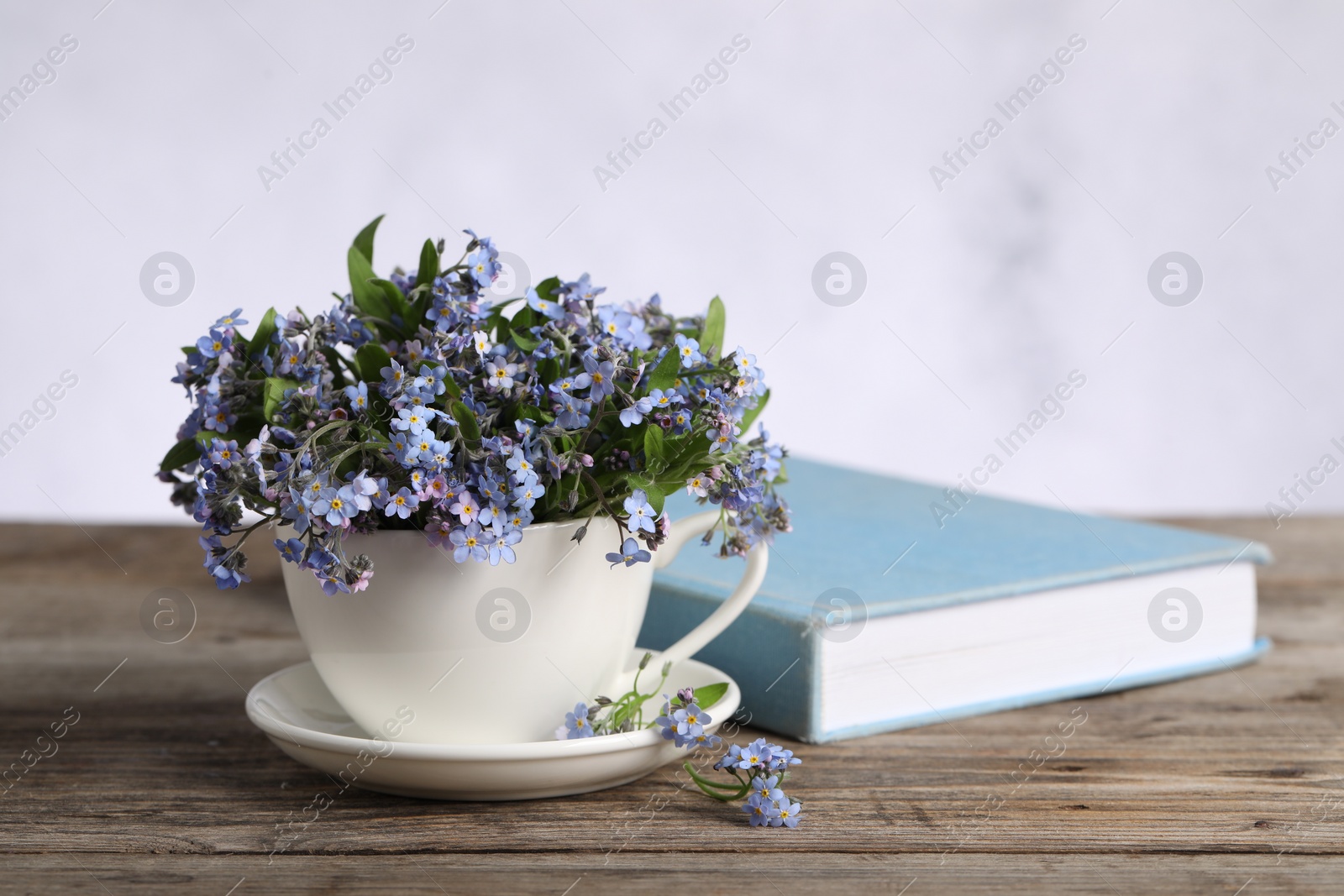 Photo of Beautiful forget-me-not flowers in cup, saucer and book on wooden table against light background, closeup