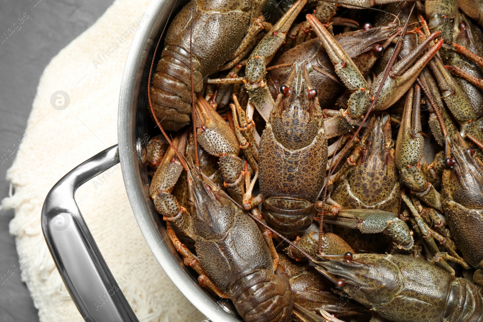 Photo of Fresh raw crayfishes in pot on table, closeup