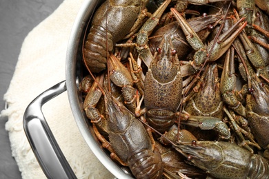 Fresh raw crayfishes in pot on table, closeup