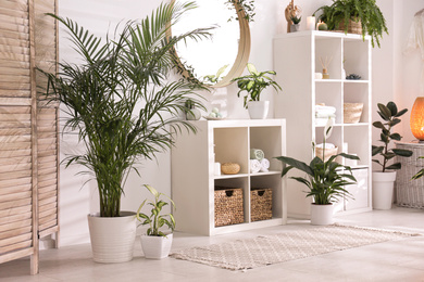 Elegant interior of modern bathroom with green plants