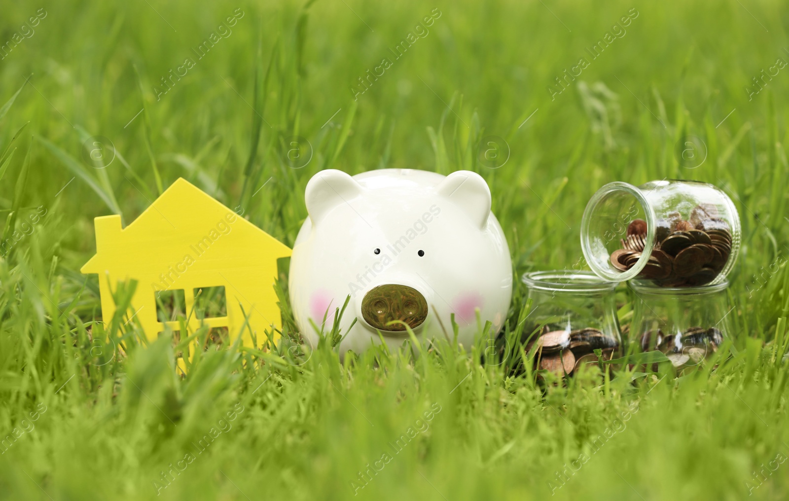 Photo of Piggy bank, house figure and jars with coins on green grass in park