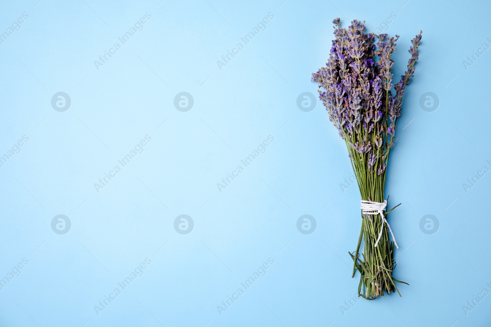 Photo of Lavender flowers on color background, top view