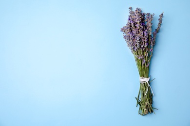 Lavender flowers on color background, top view