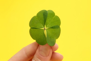 Photo of Woman holding beautiful green four leaf clover on yellow background, closeup