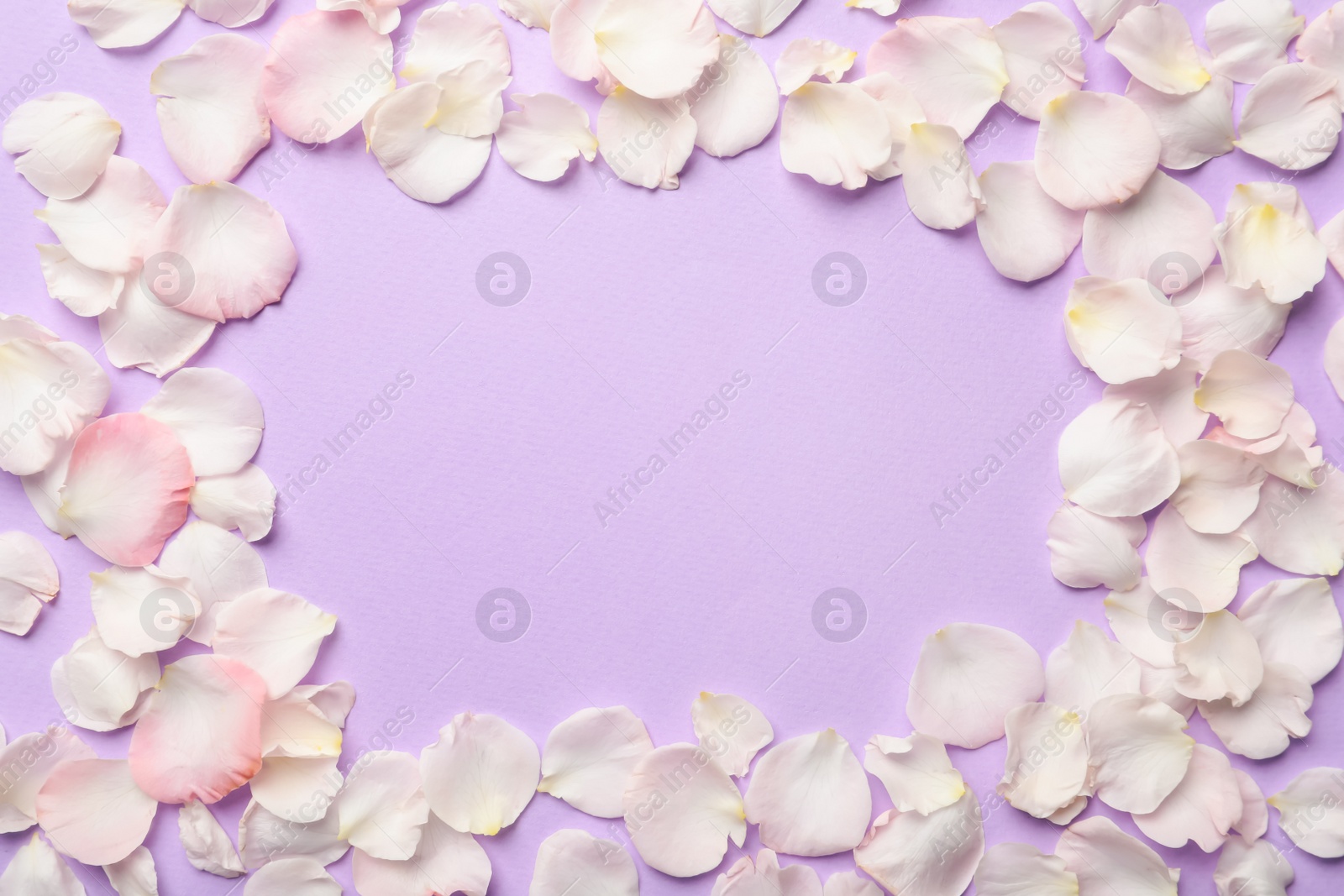 Photo of Frame of beautiful petals on lilac background, flat lay. Space for text