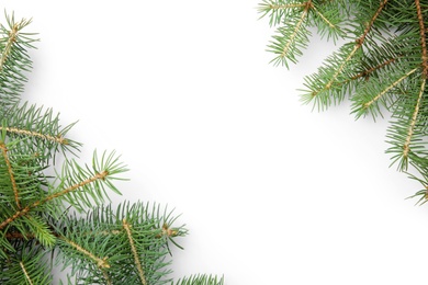 Photo of Branches of Christmas tree on white background