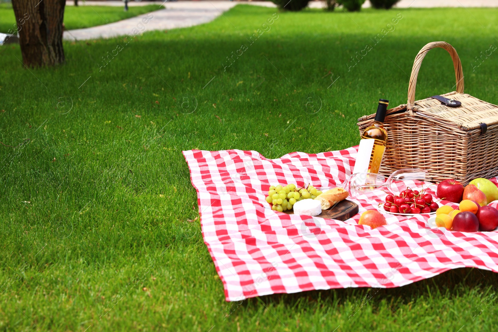 Photo of Picnic basket with products and bottle of wine on checkered blanket in garden. Space for text