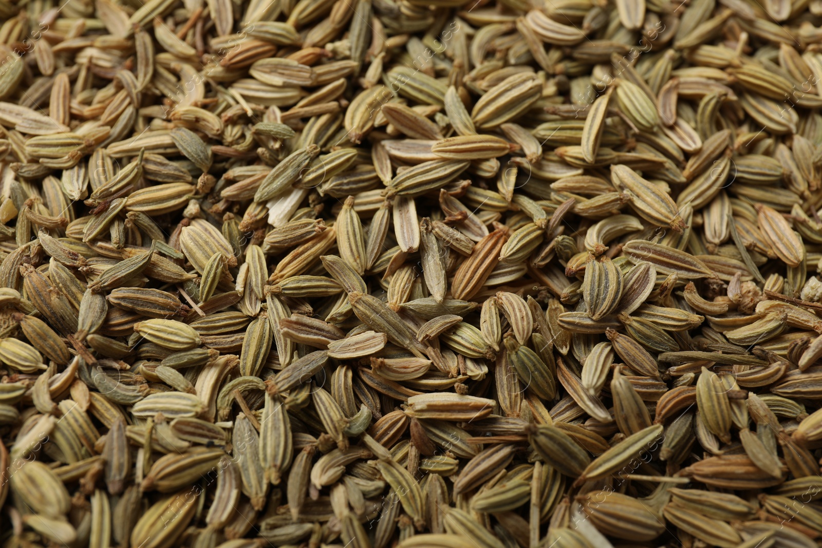 Photo of Many fennel seeds as background, closeup view